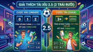 giai-thich-tai-xiu-2-trai-ruoi-2-5